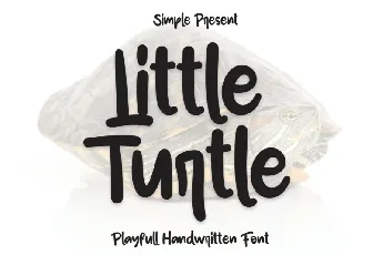 Little Turtle Display font