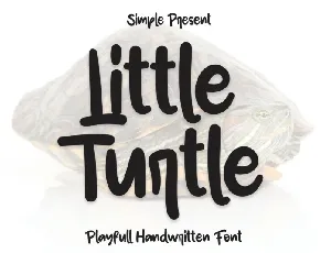 Little Turtle Display font