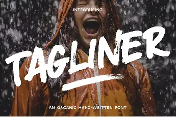 TAGLINER font