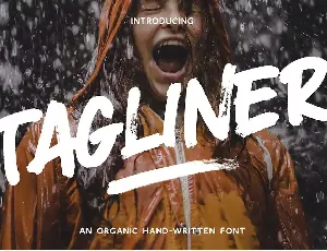 TAGLINER font