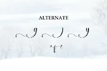 Winterday Script font