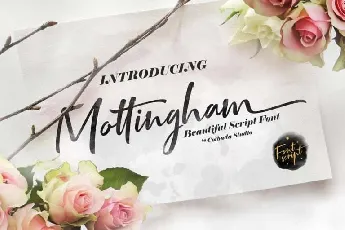 Mottingham Script Free font