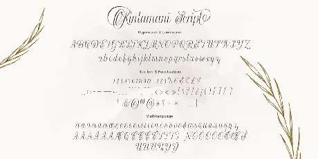 Kintamani Script Free font