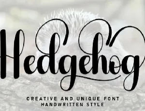 Hedgehog Script font