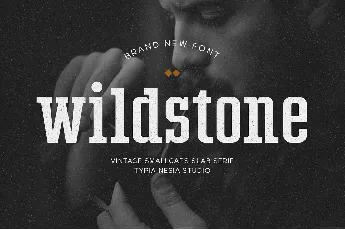 Wildstone font