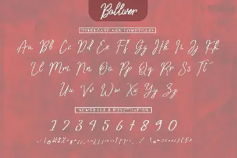 Bolliver Demo font