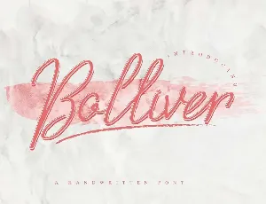 Bolliver Demo font