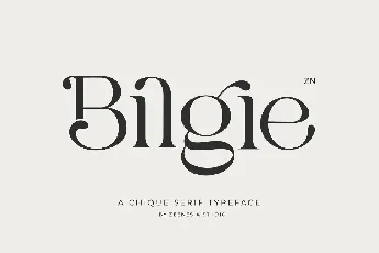 Bilgie font