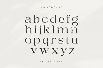 Bilgie font