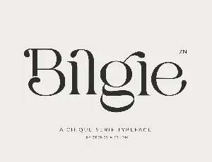 Bilgie font