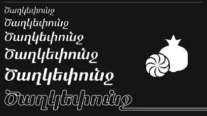 GAA Gayane Family font