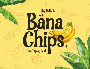 Bana Chips Display font