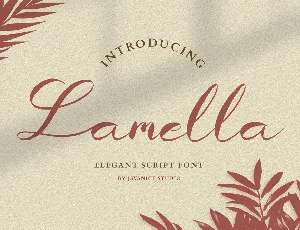 Lamella font