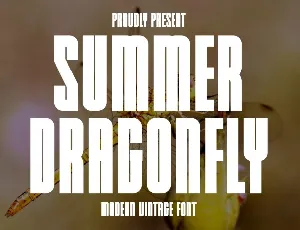 Summer Dragonfly font