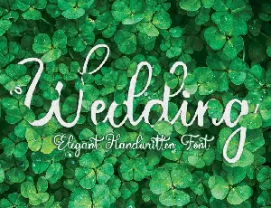 Wedding Calligraphy font