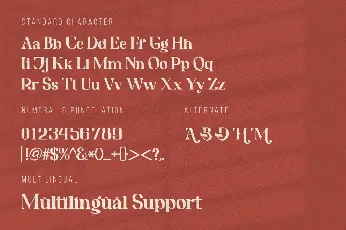 Brigitka font