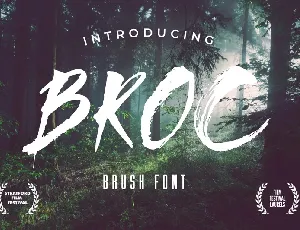 Broc font