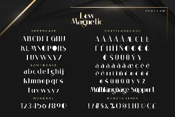 Low Magnetic Demo font