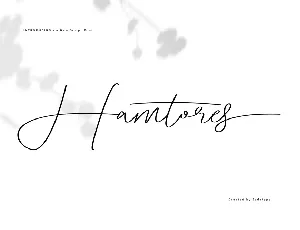 Hamtores font