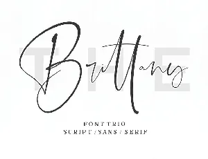 The Brittany Trio Free font