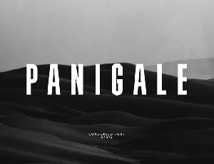 Panigale font