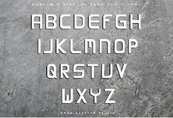 RONIUM Demo font