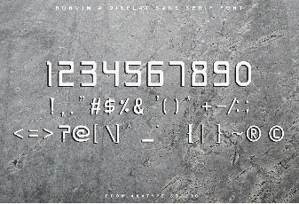 RONIUM Demo font