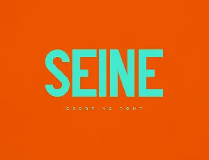 Seine font