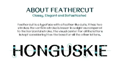 Feathercut Sans Serif Family font