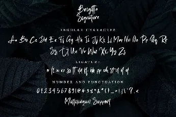 Brigitta Signature font