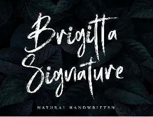 Brigitta Signature font