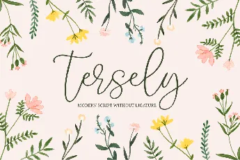 Tersely font