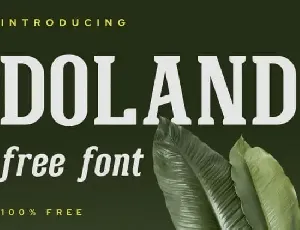 Doland Serif font