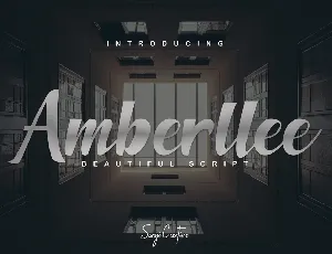 Amberllee Modern Script Typeface font