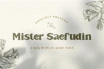 Mister Saefudin font