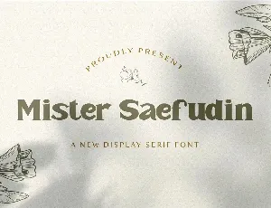 Mister Saefudin font