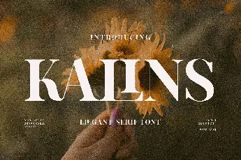 Kalins font