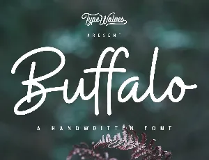 Buffalo font