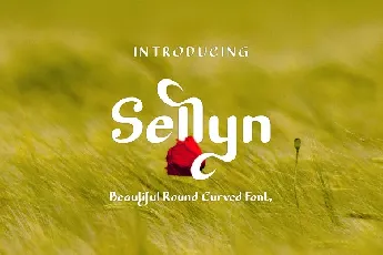 Sellyn Sans font