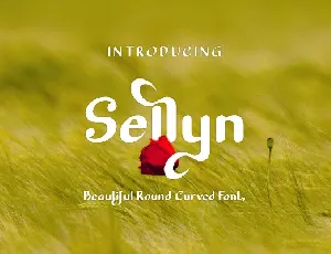 Sellyn Sans font