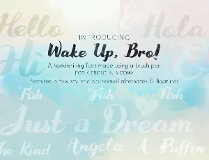 Wake Up Bro font