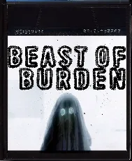 Beast Of Burden font