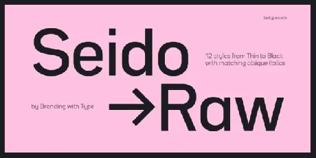 Bw Seido Raw Family font