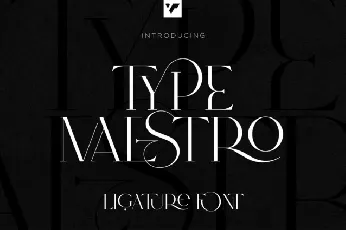 Type Maestro font