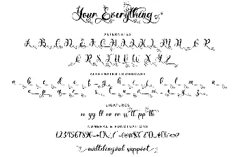 Your Everything font