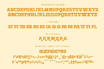 Roger Display font