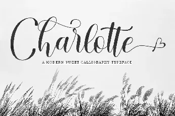 Charlotte Script font