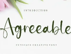 Agreeable Script font