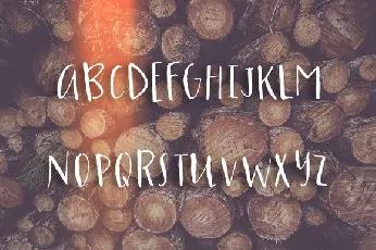 Eloise font