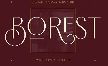 Borest Elegant Roman Sans Serif font